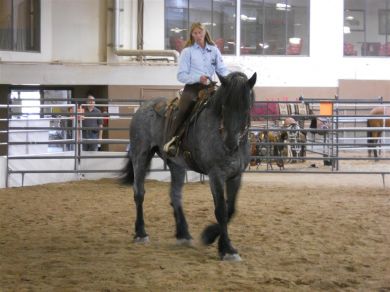 Arena Exercises for the Trail HorseTM Clinic - October 11-12, Running D Ranch