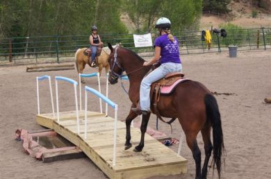 Creating the Ultimate Trail Horse Clinic - June 28-29, Running D Ranch