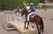 Creating the Ultimate Trail Horse Clinic - June 28-29, Running D Ranch