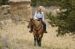 Trail Dressage Clinic - August 28-29, Running D Ranch