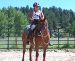 Building The Horse of A Lifetime� Colt Starting Clinic - July 19-30, Running D Ranch