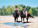 Creating the Ultimate Trail Horse Clinic - Colorado Springs, May 15-16