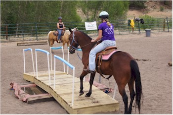 Ultimate Trail Horse