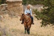 Dressage For The Trail