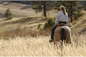 Debbie Bibb Horse Clinics