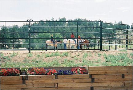 Training at the Running D Ranch